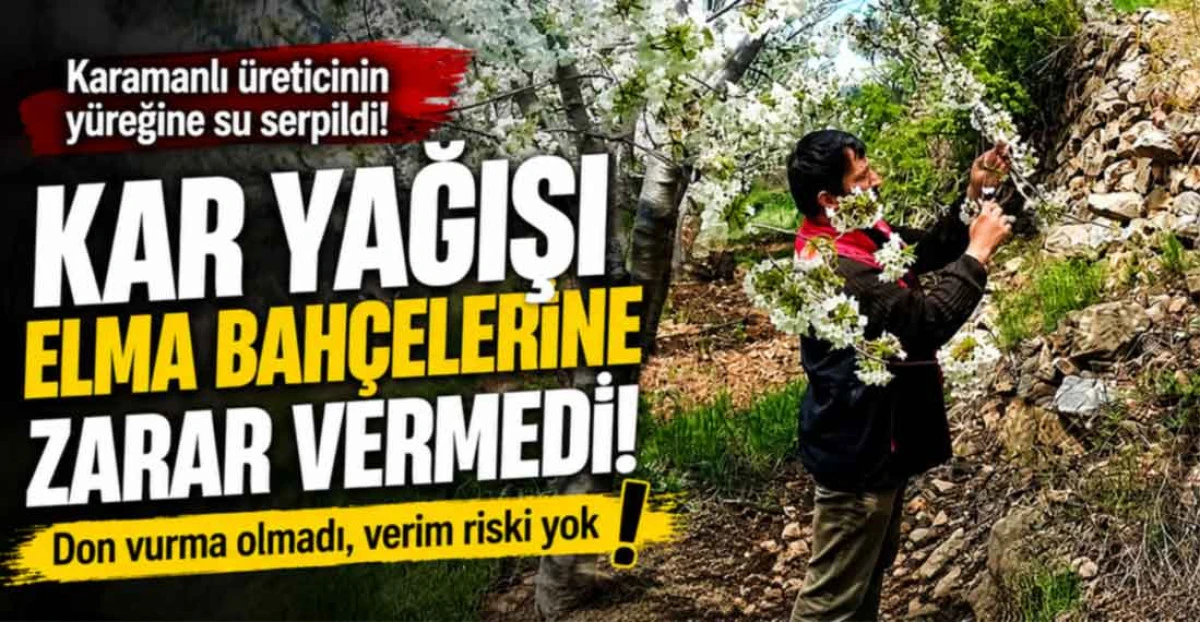 Karamanlı Elma &Uuml;reticisinin Y&uuml;reğine Su Serpildi: Kar Yağışı Zarar Vermedi!