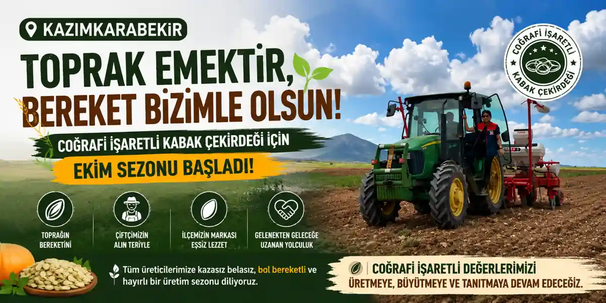Kazımkarabekir&rsquo;de Kabak &Ccedil;ekirdeği Ekim Sezonu Başladı
