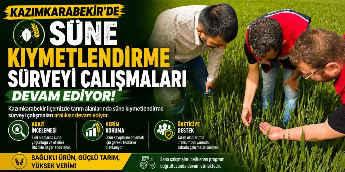 Kazımkarabekir&rsquo;de S&uuml;ne Kıymetlendirme S&uuml;rveyi &Ccedil;alışmaları S&uuml;r&uuml;yor