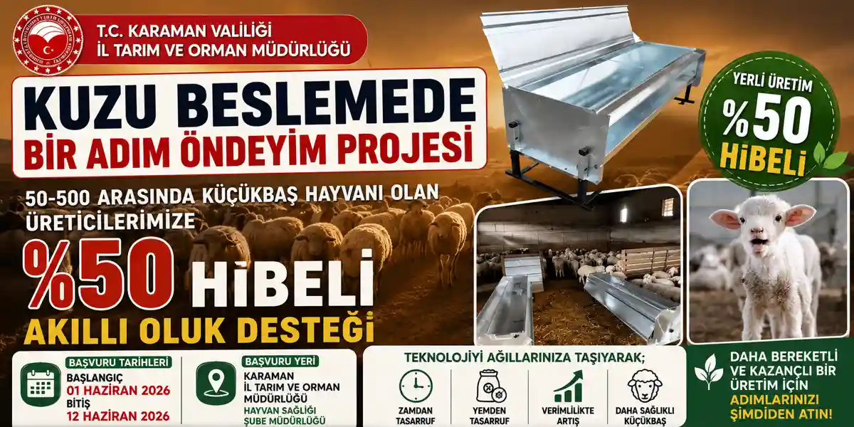Kuzu Beslemede Verimlilik Artacak: &Uuml;reticilere y&uuml;zde 50 hibeli akıllı oluk desteği verilecek.